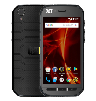 web cat s41